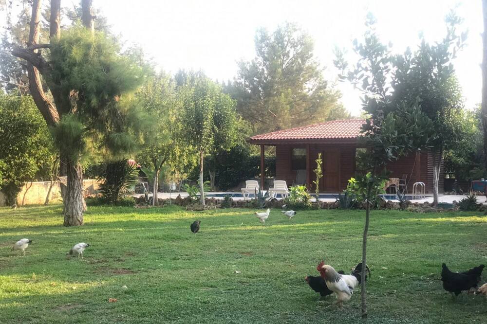 Photo of Outdoor in Duaci