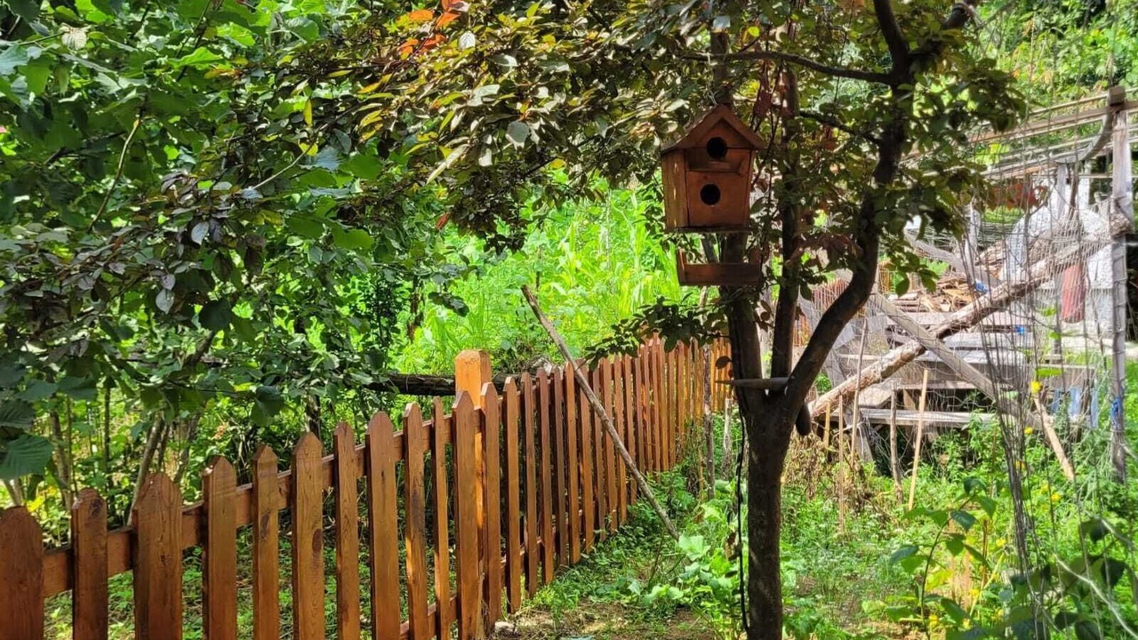 Photo of Outdoor in Borcka