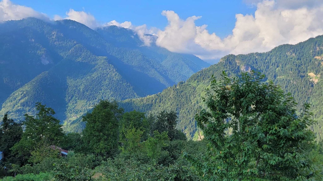 Photo of Outdoor in Borcka