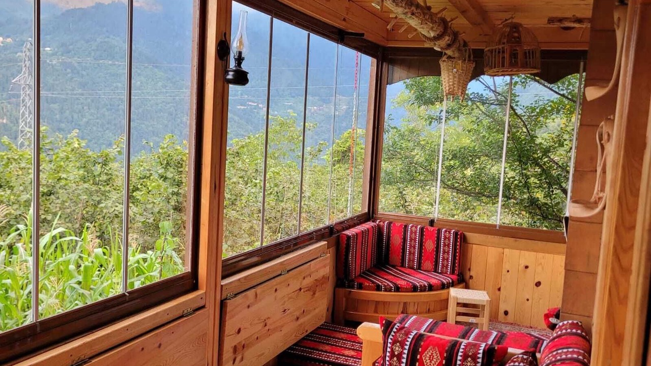 Photo of Livingroom in Borcka