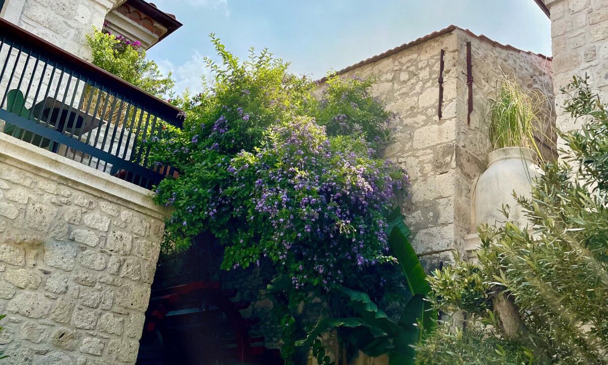 Photo of Outdoor in Tokoglu