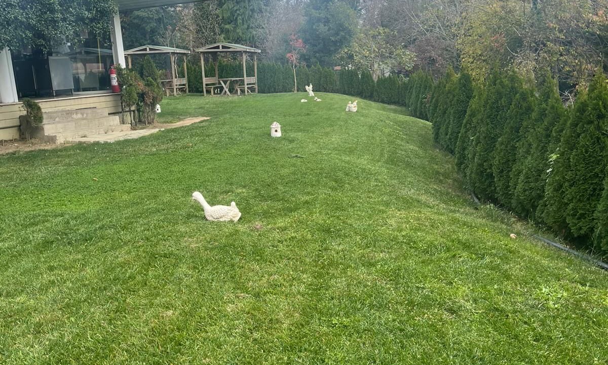 Photo of Outdoor in Polonezkoy