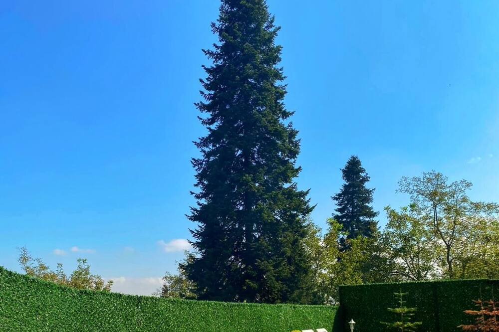 Photo of Outdoor in Sapanca