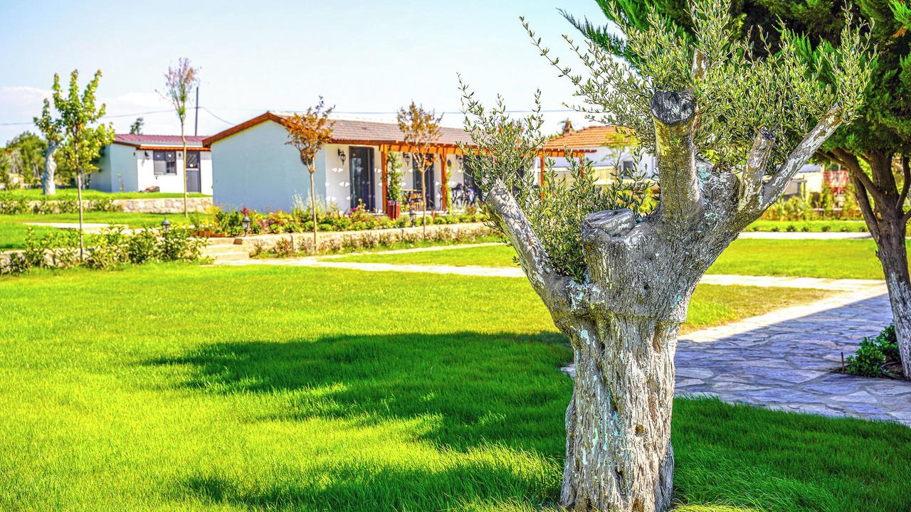 Photo of Outdoor in Bozcaada