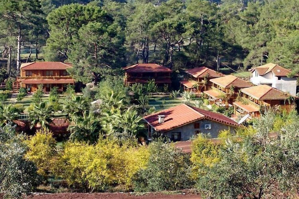 Photo of Outdoor in Olympos