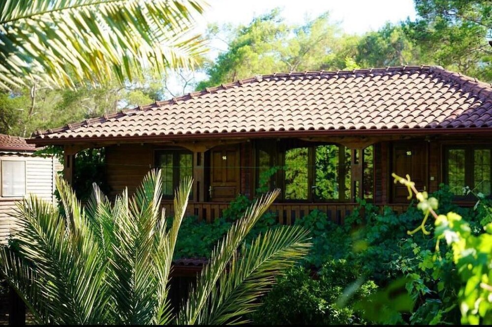 Photo of Outdoor in Olympos