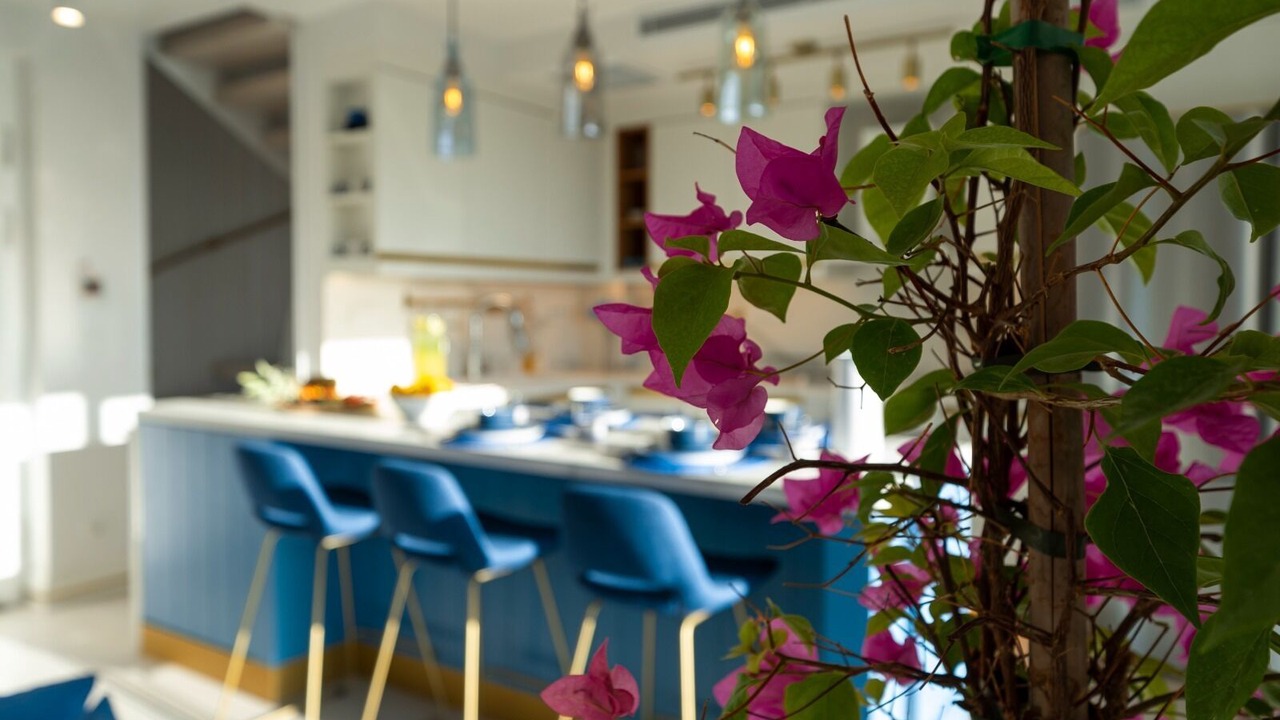 Photo of Others in Milas