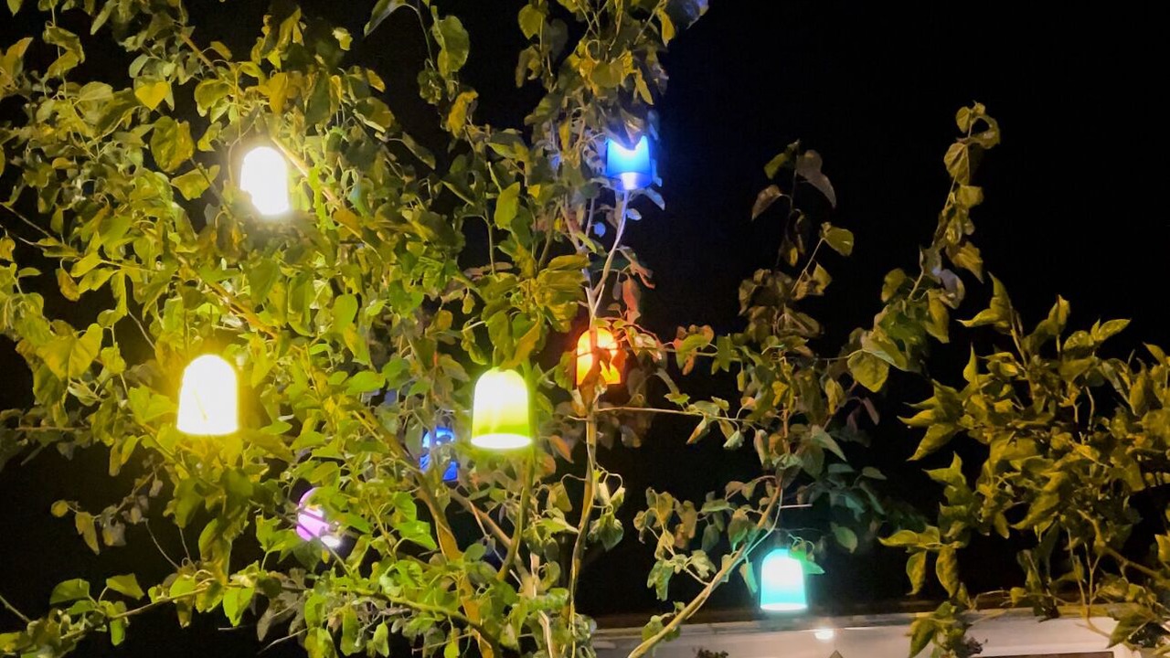 Photo of Outdoor in Akcaabat