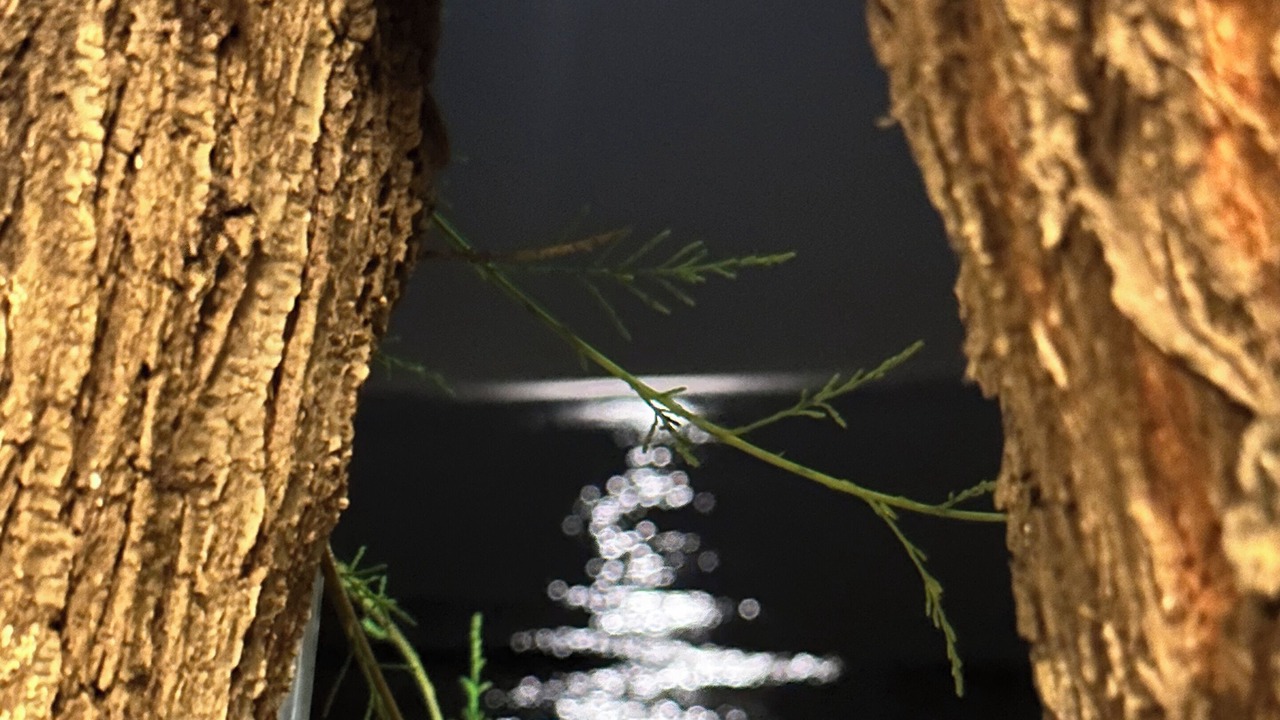 Photo of Outdoor in Cumhuriyet