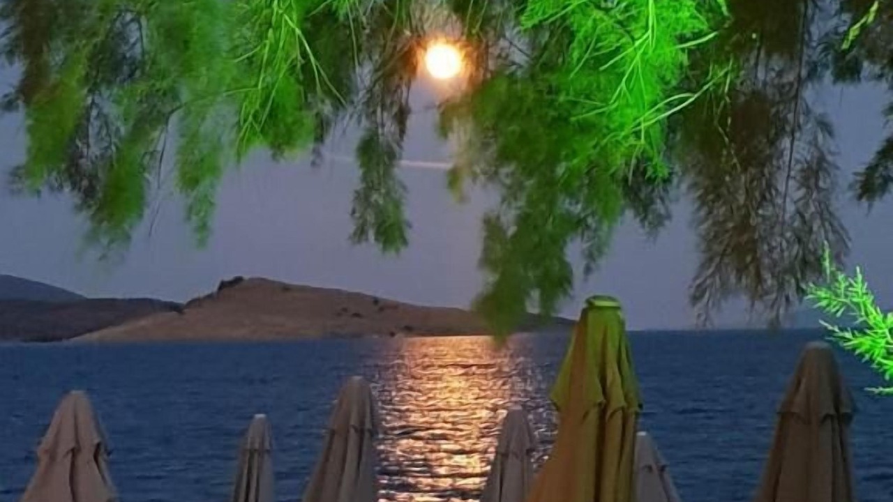 Photo of Outdoor in Ortakent
