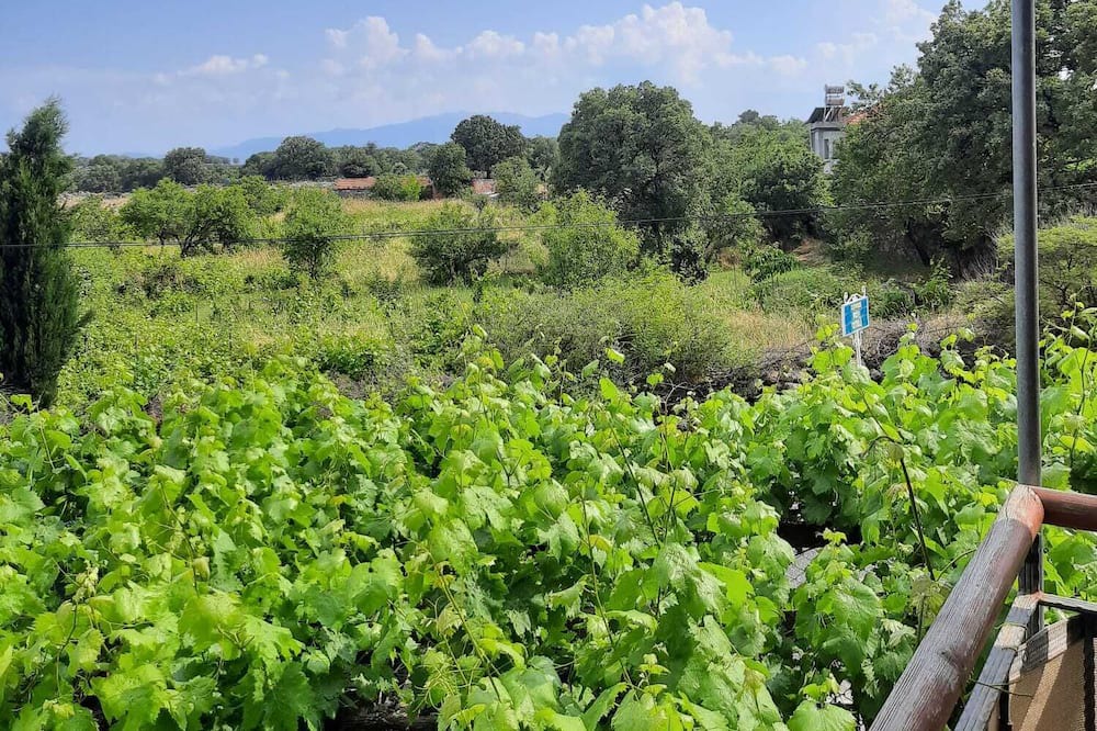 Photo of Outdoor in Ayvacik