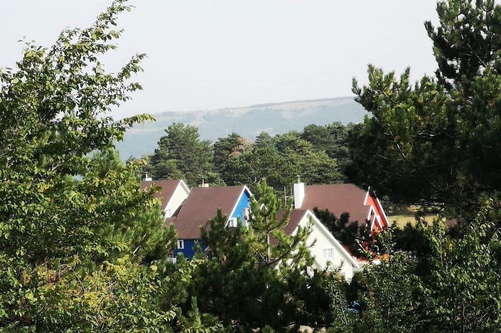 Photo of Outdoor in Black Sea Coast