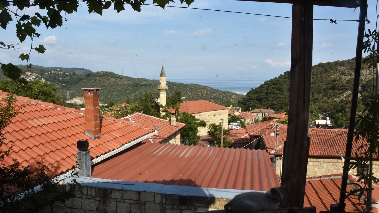 Photo of Others in Yesilyurt Koyu
