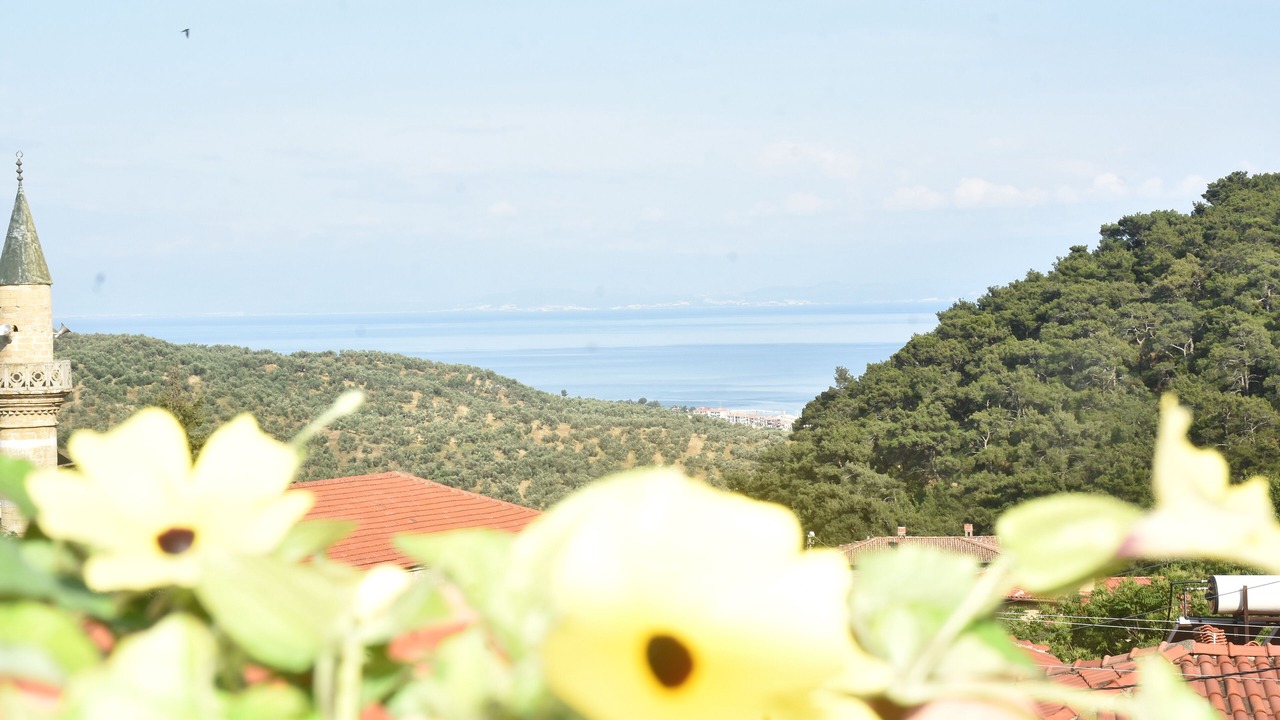 Photo of Outdoor in Yesilyurt Koyu