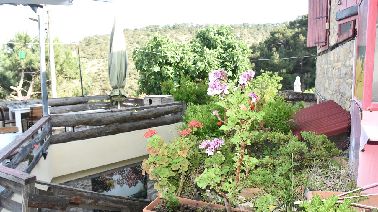 Photo of Others in Yesilyurt Koyu