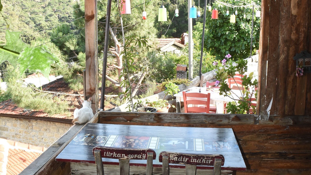 Photo of Others in Yesilyurt Koyu