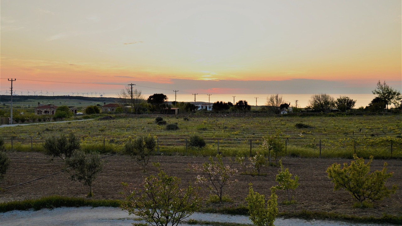 Photo of Outdoor in Bozcaada