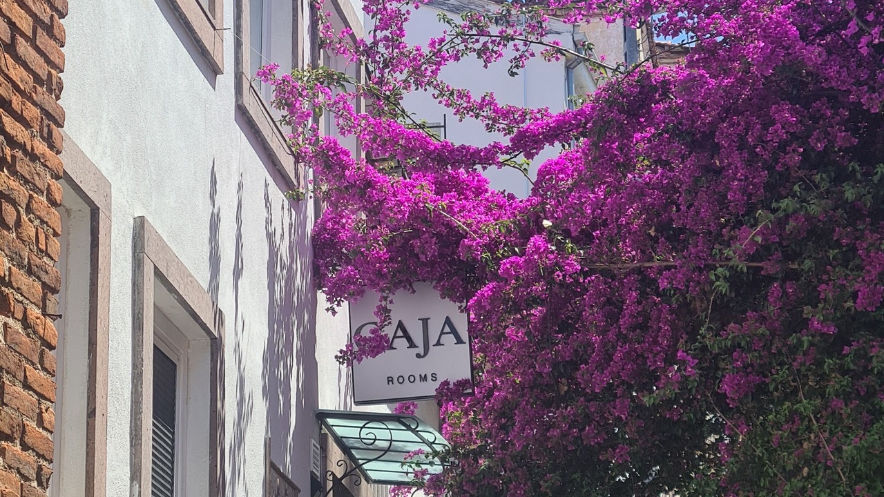 Photo of Outdoor in Ayvalik City Center