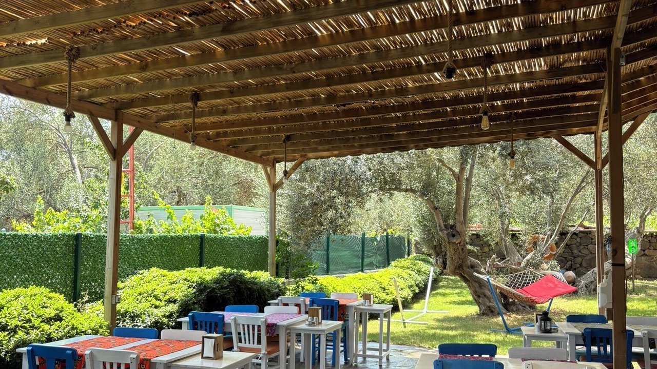 Photo of Outdoor in Ayvacik