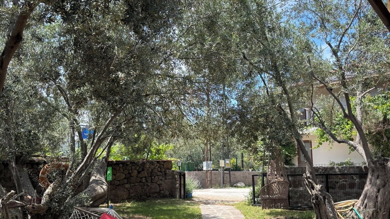 Photo of Outdoor in Ayvacik
