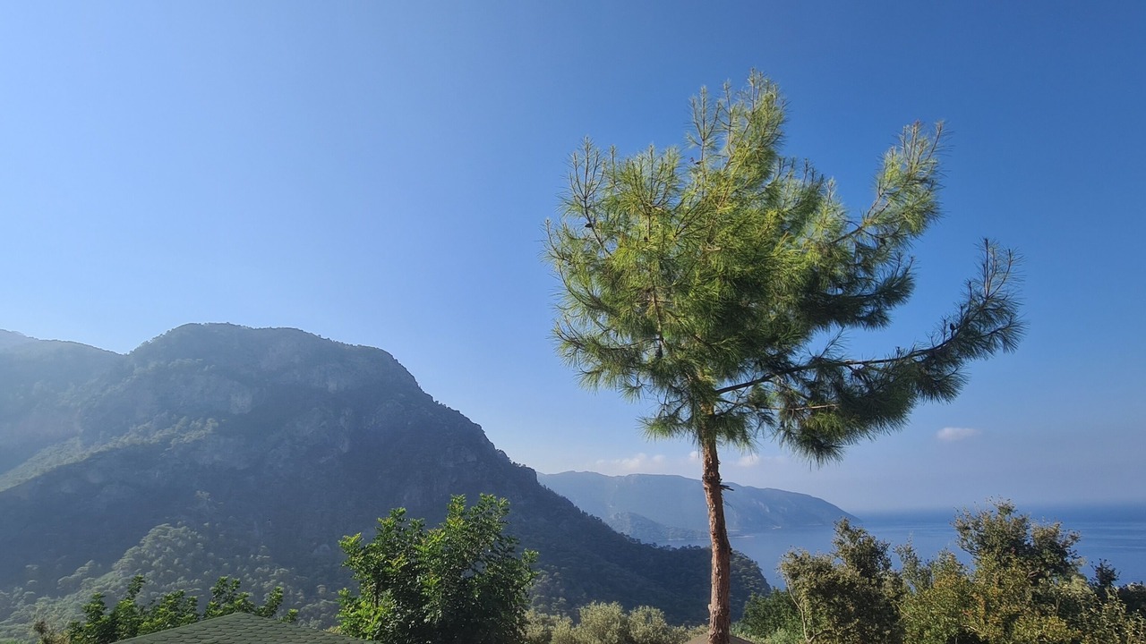 Photo of Others in Kabak Valley