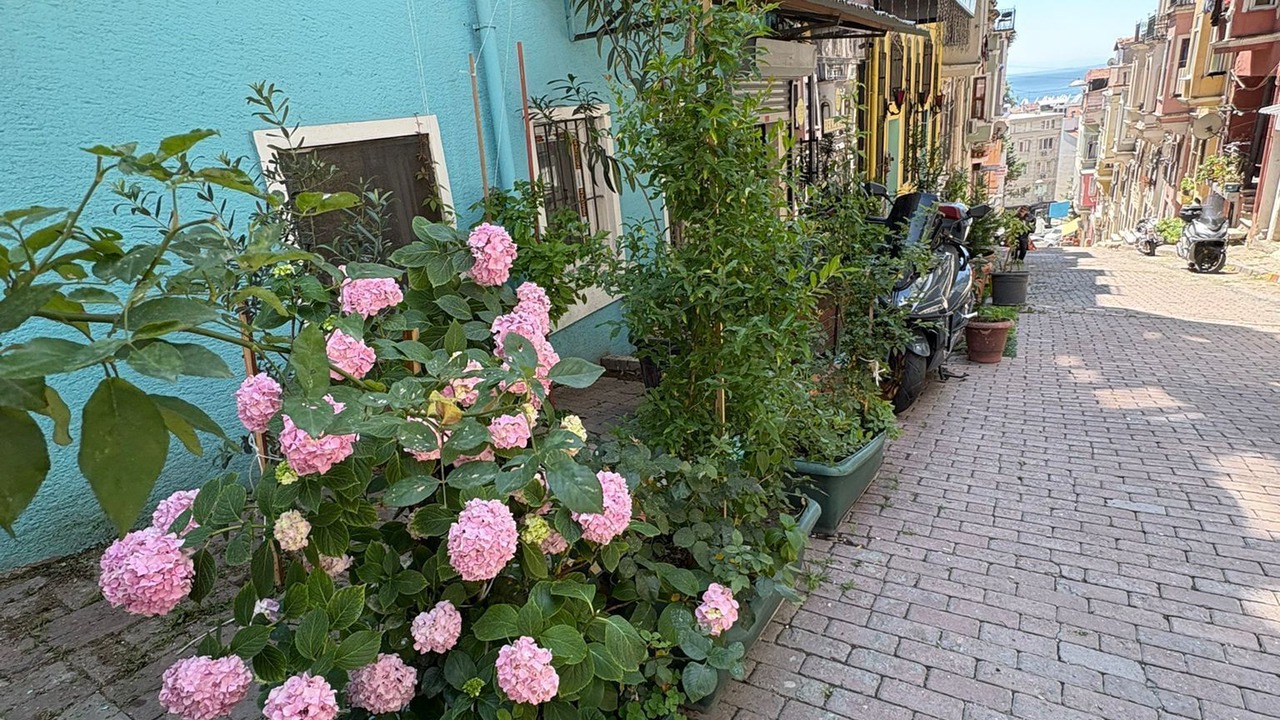 Photo of Outdoor in Old City