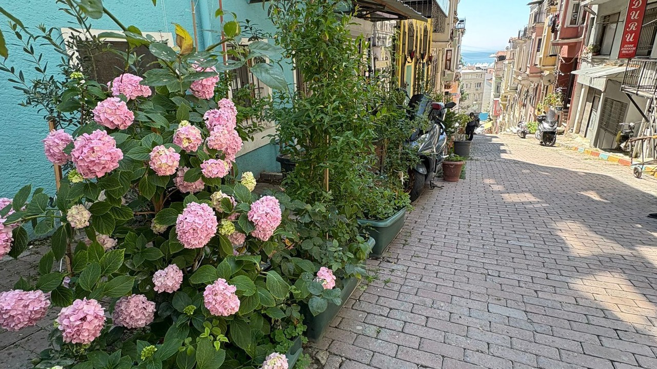 Photo of Outdoor in Old City