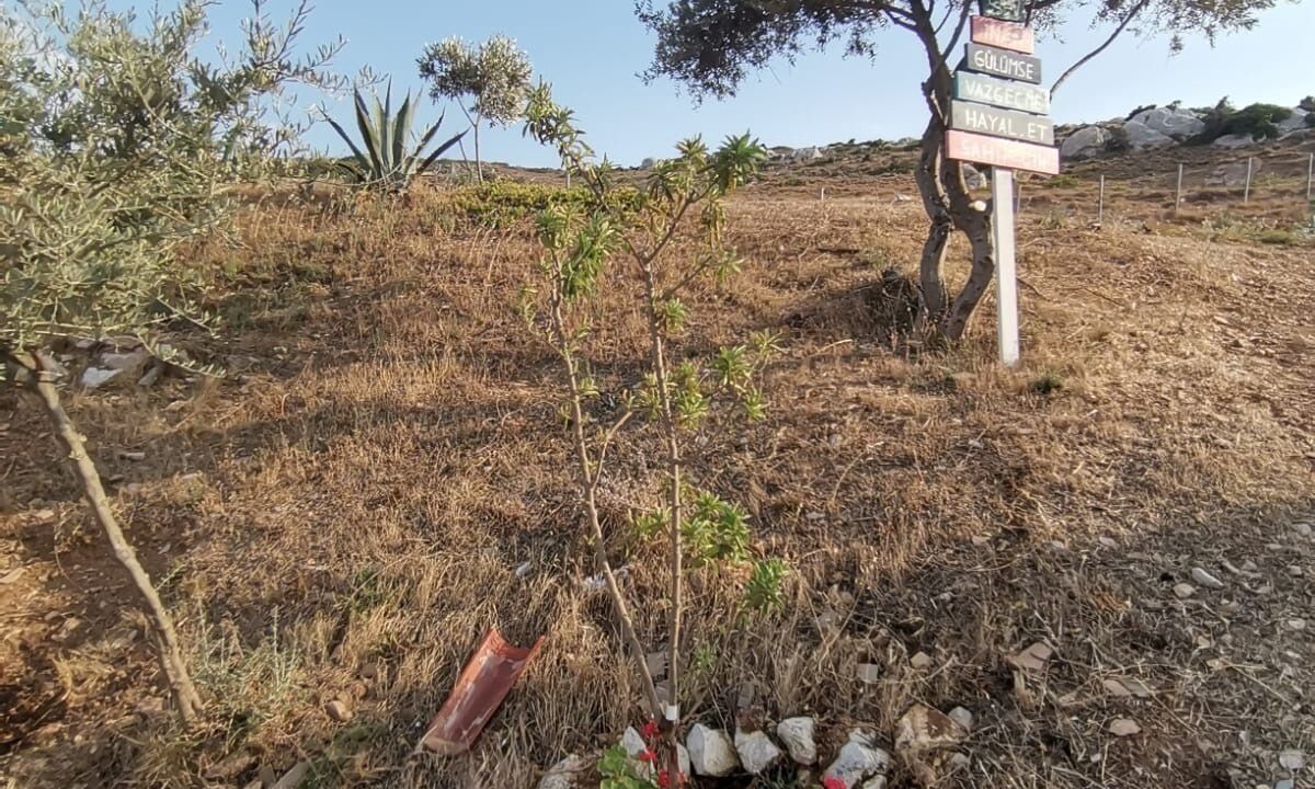 Photo of Outdoor in Bozcaada