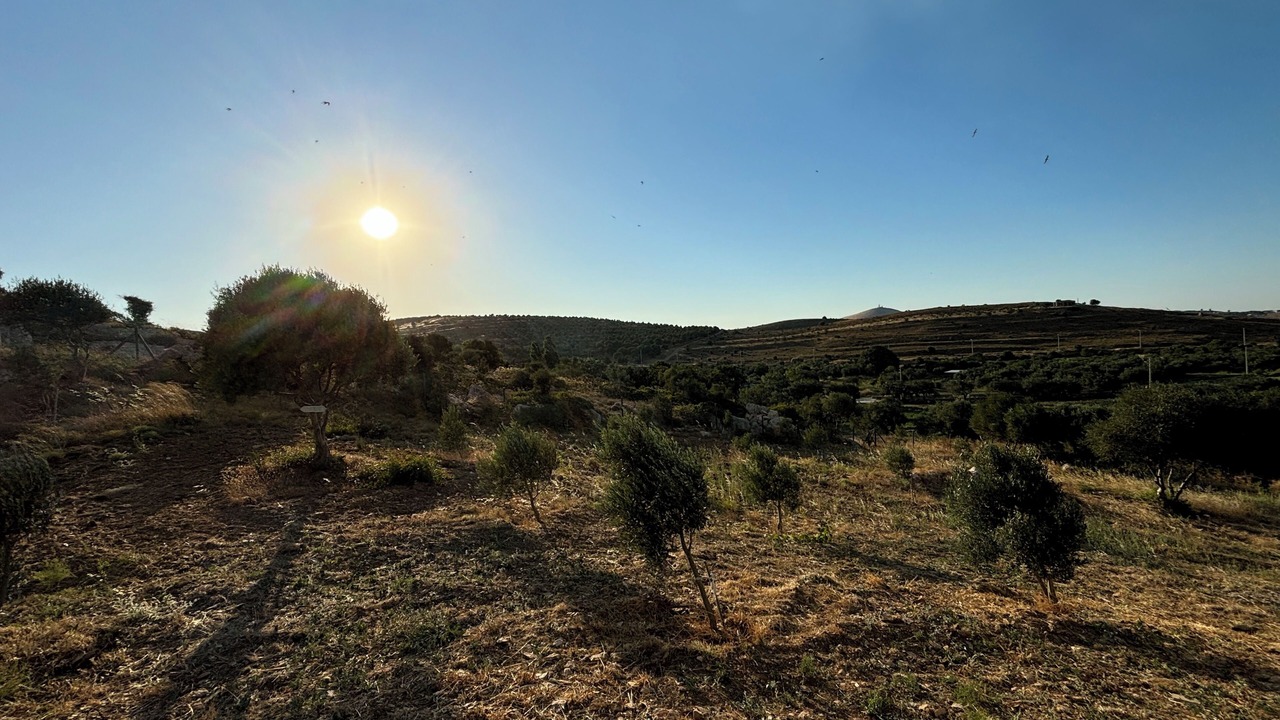 Photo of Outdoor in Bozcaada