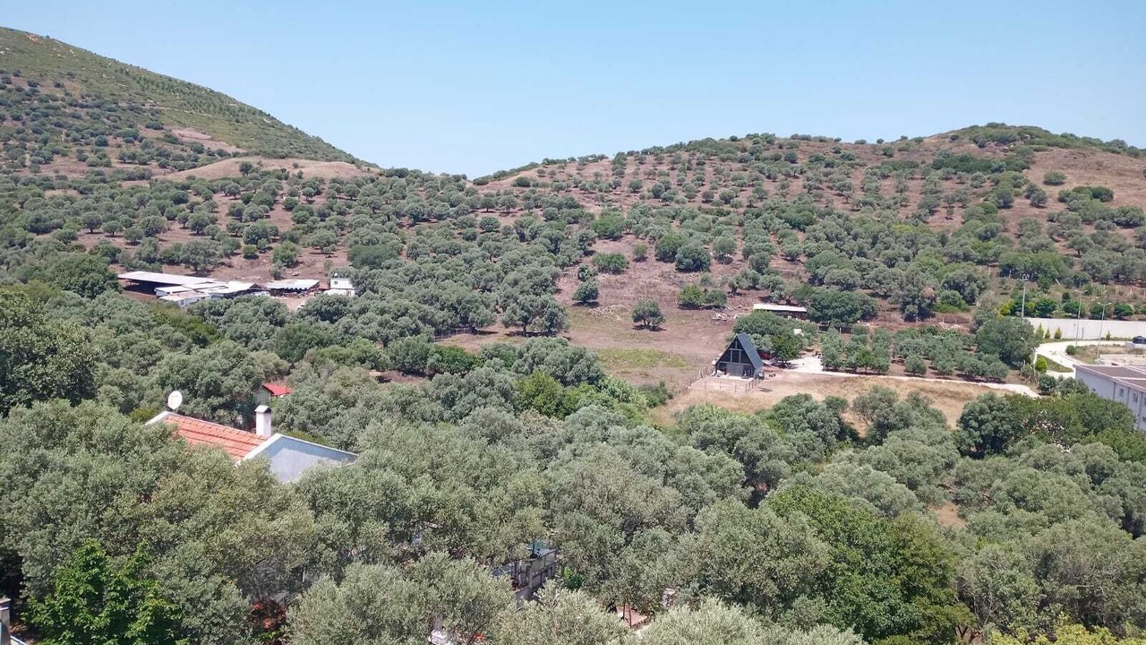 Photo of Outdoor in Foca