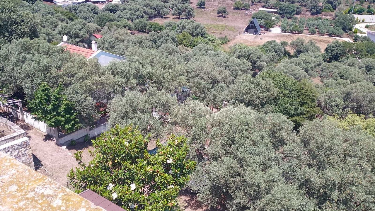 Photo of Outdoor in Foca