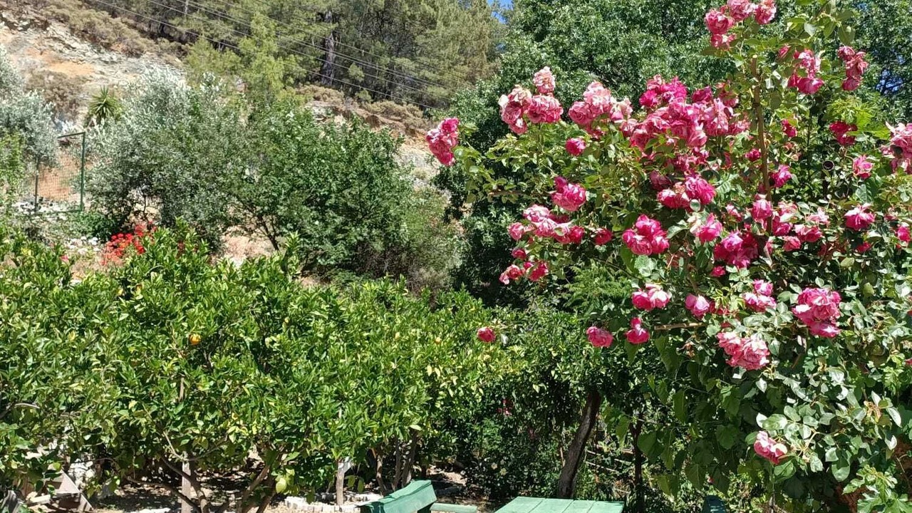 Photo of Outdoor in Ortaca