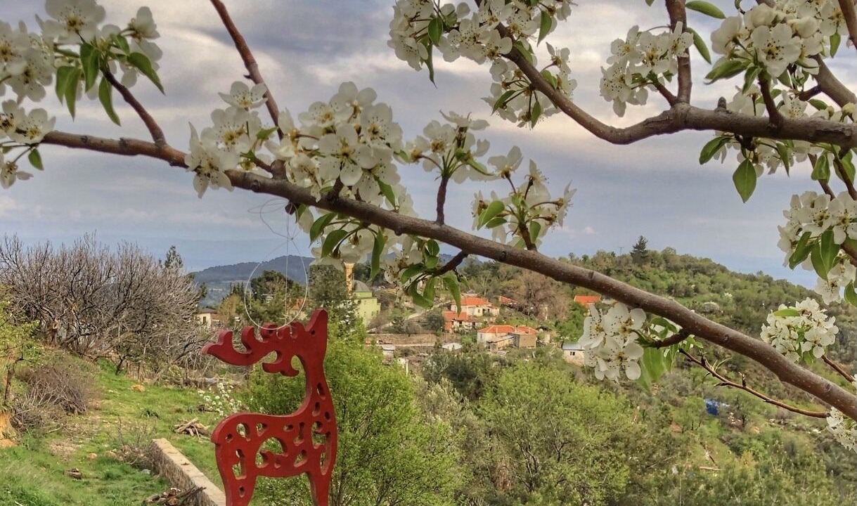 Photo of Outdoor in Ayvacik