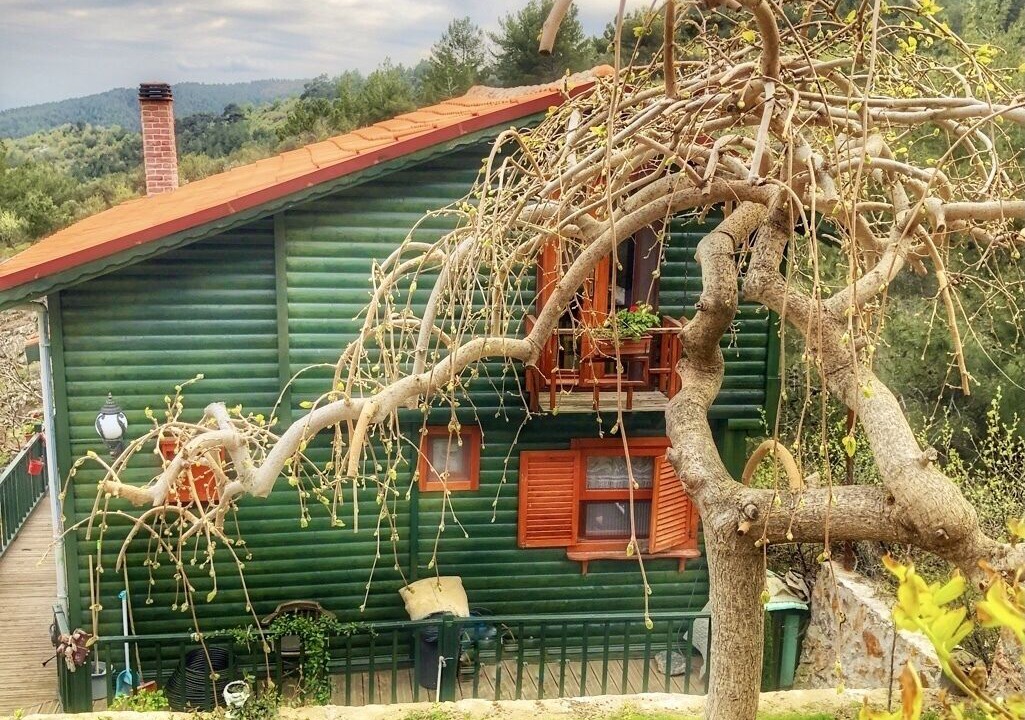 Photo of Outdoor in Ayvacik