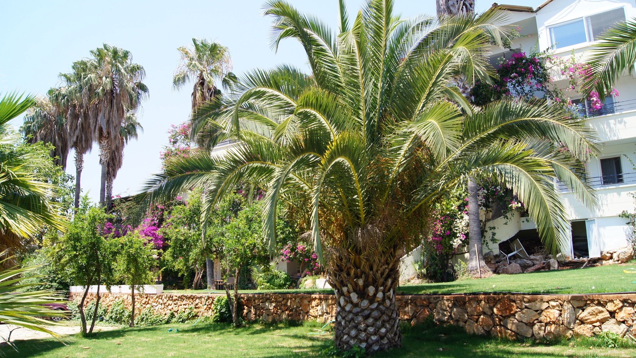 Photo of Outdoor in Patara