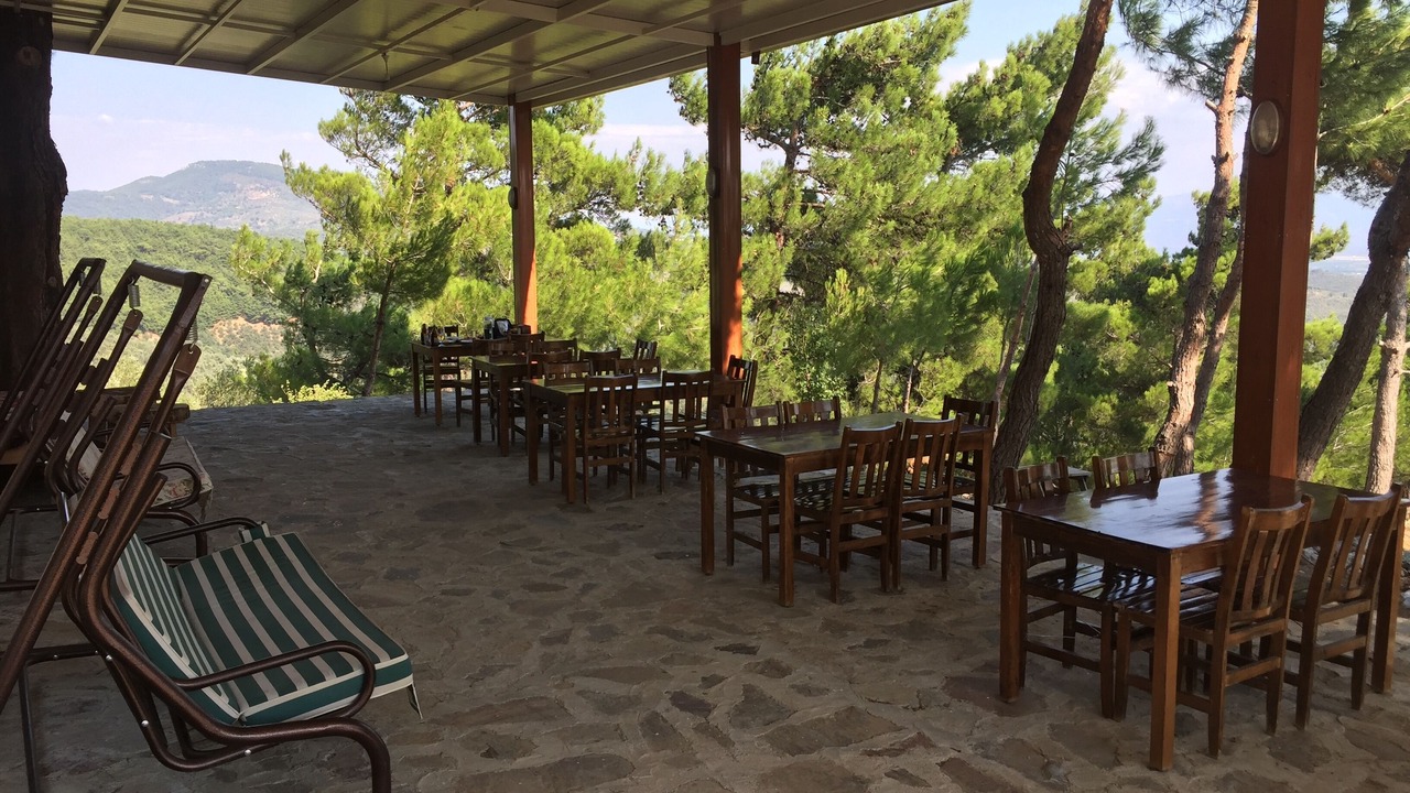 Photo of Others in Zeytinli