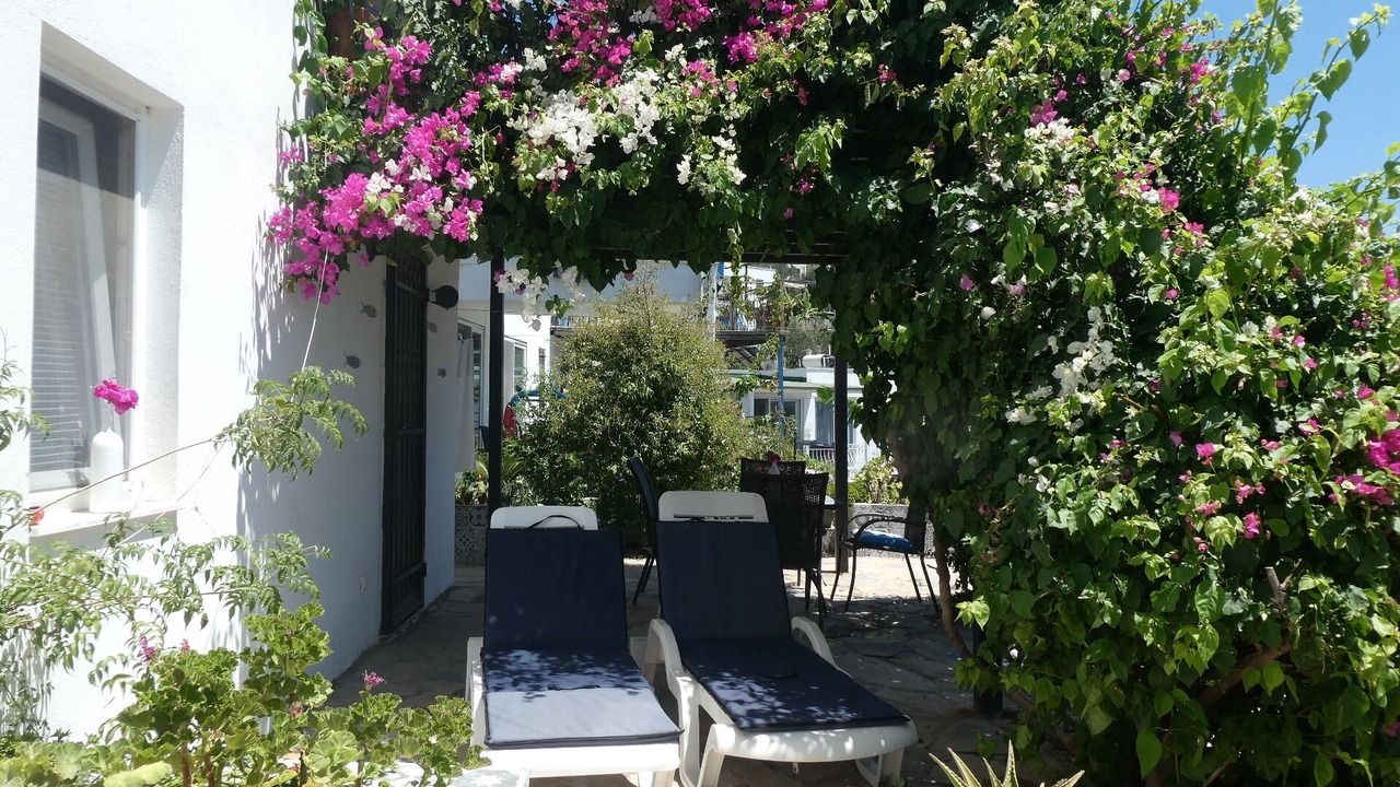 Photo of Outdoor in Koyunbaba