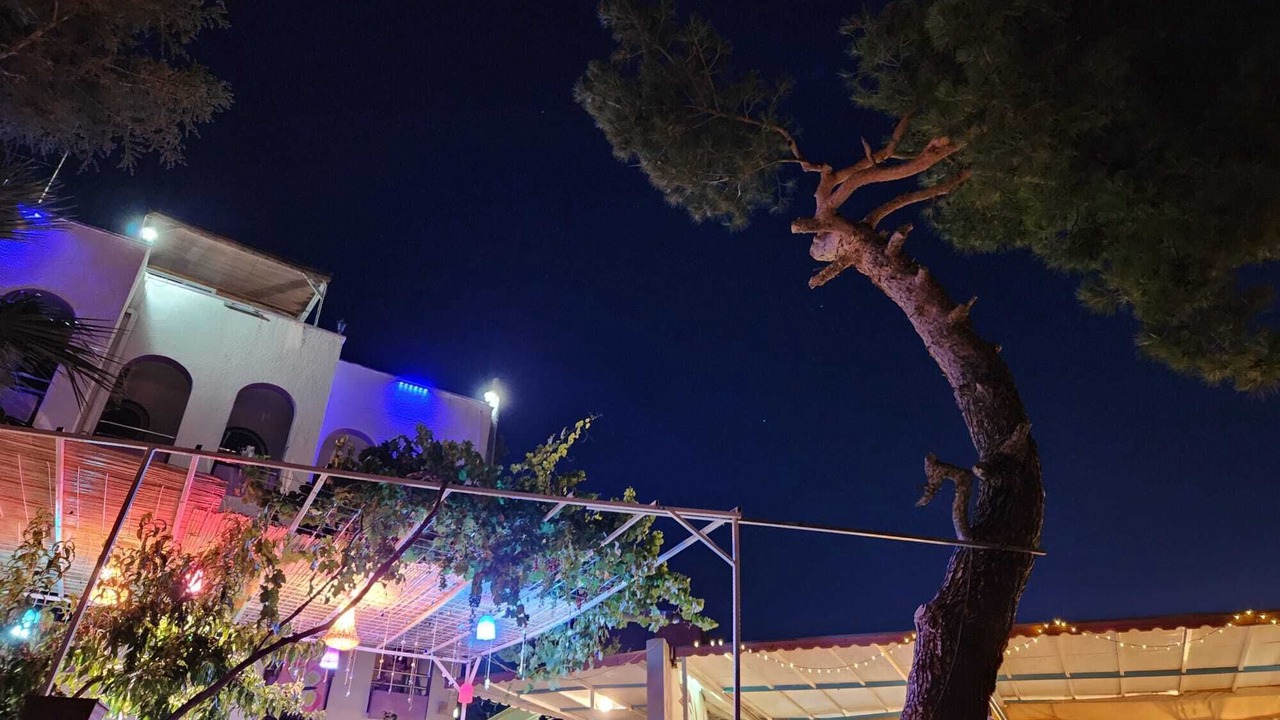 Photo of Outdoor in Ayvacik