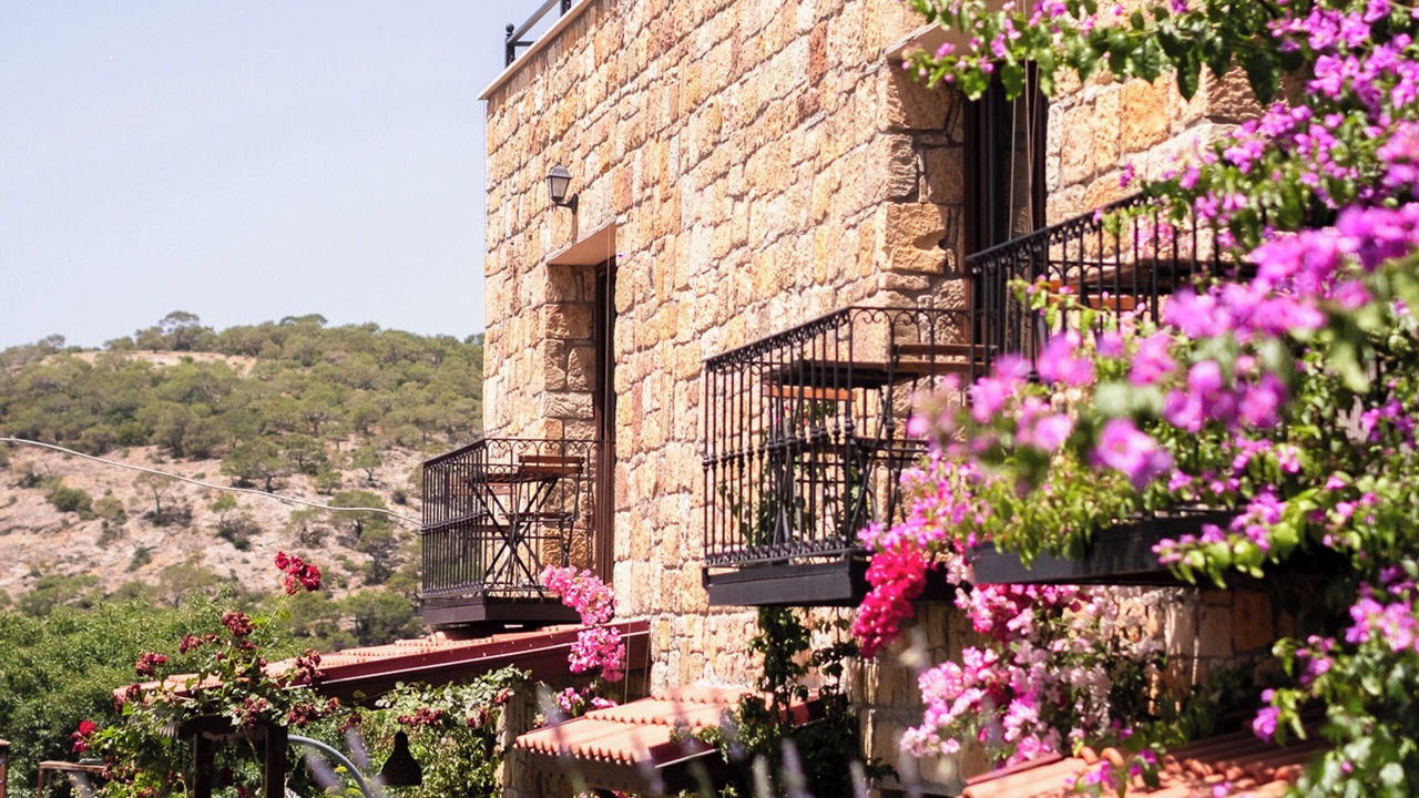 Photo of Outdoor in Ayvacik