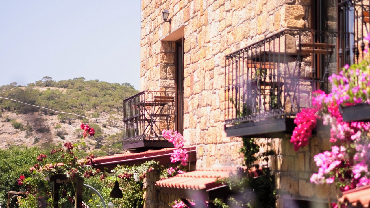 Photo of Outdoor in Ayvacik