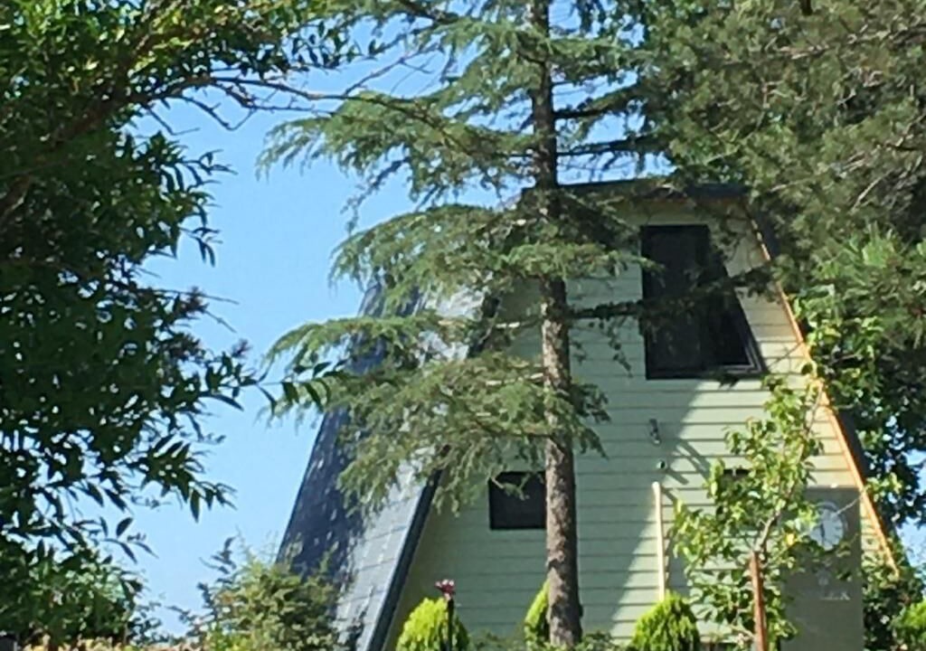 Photo of Outdoor in Sapanca