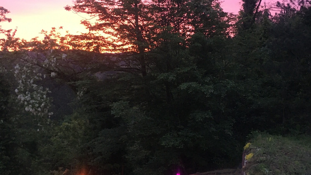 Photo of Outdoor in Sapanca