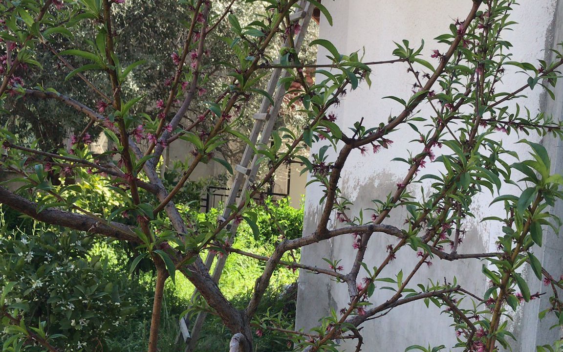 Photo of Outdoor in Dikili