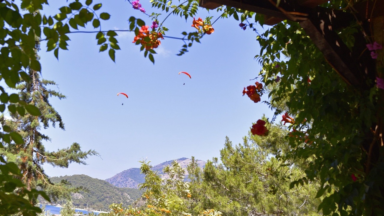 Photo of Others in Oludeniz City Center