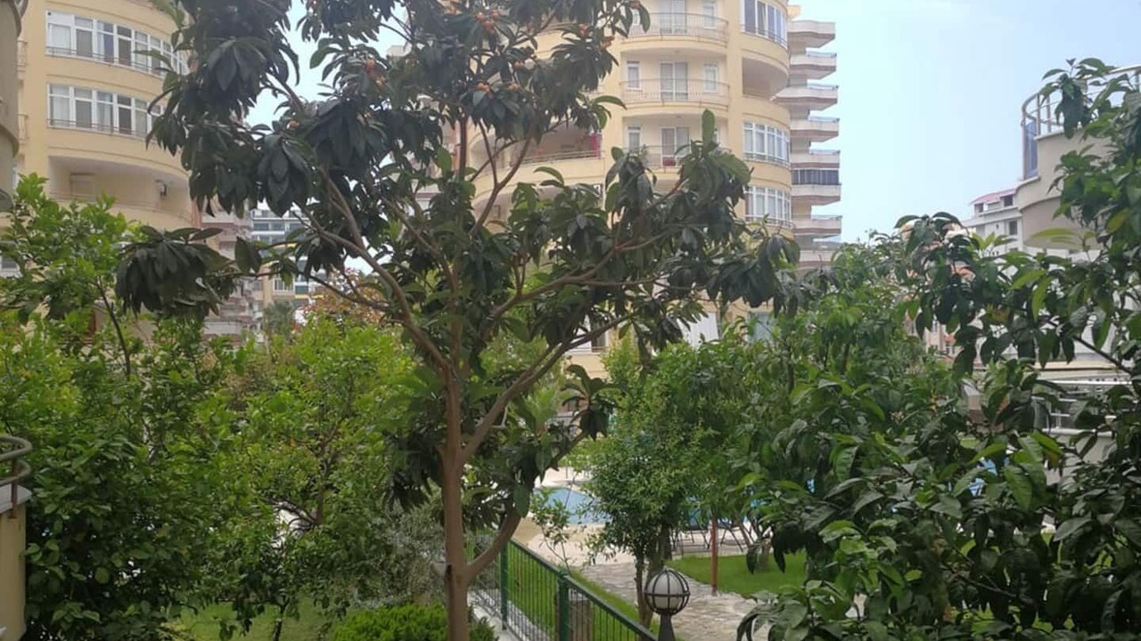 Photo of Outdoor in Mahmutlar