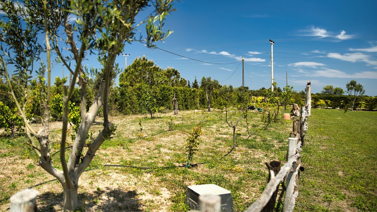 Photo of Outdoor in Bozcaada