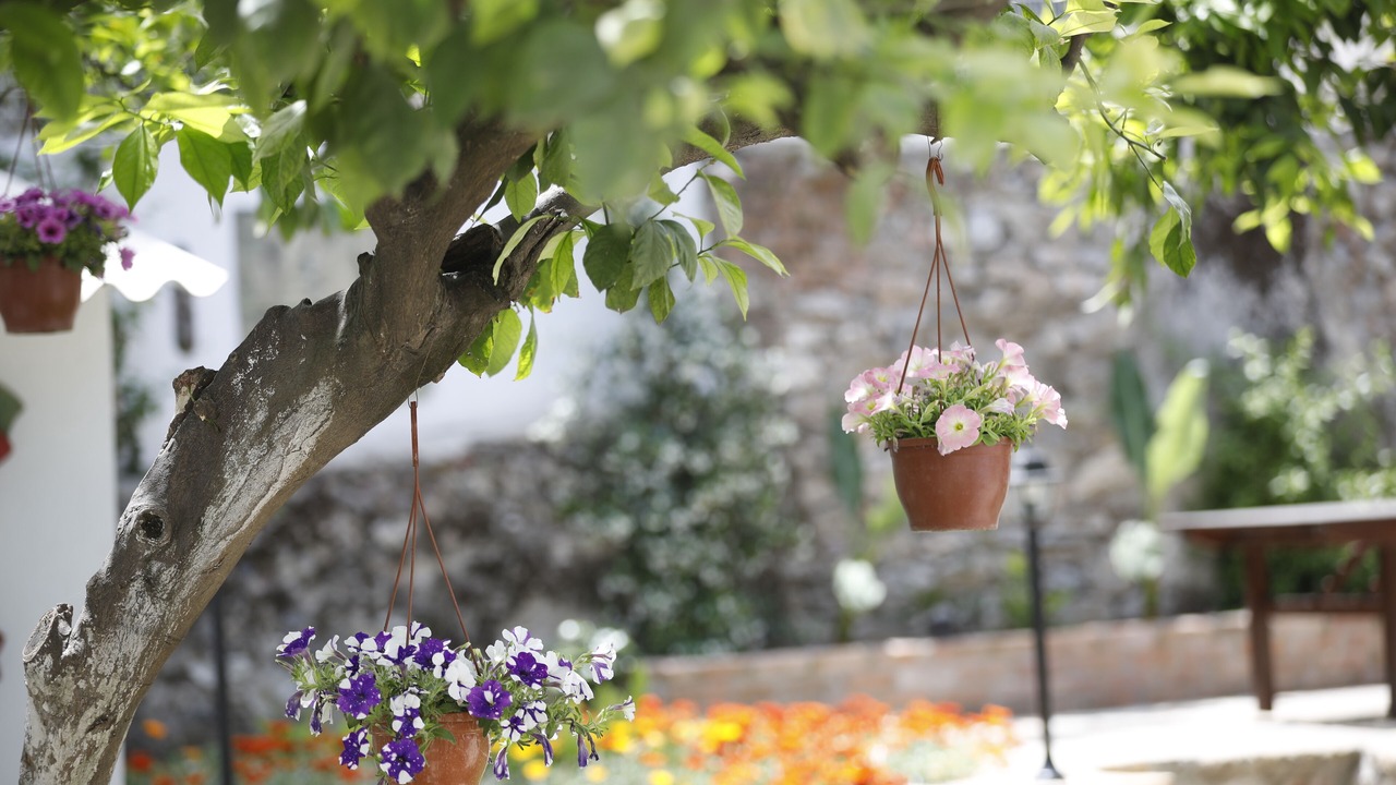 Photo of Outdoor in Selcuk