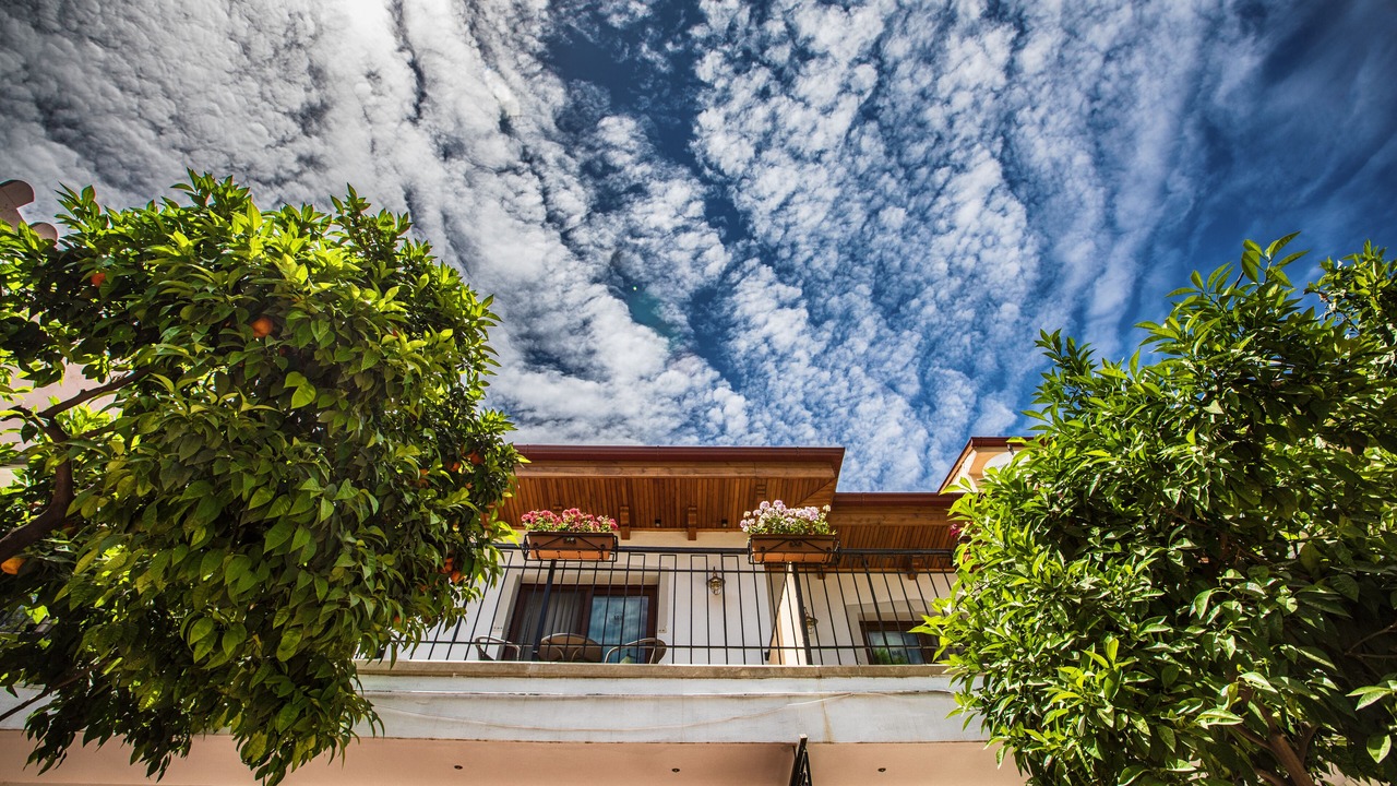 Photo of Outdoor in Selcuk