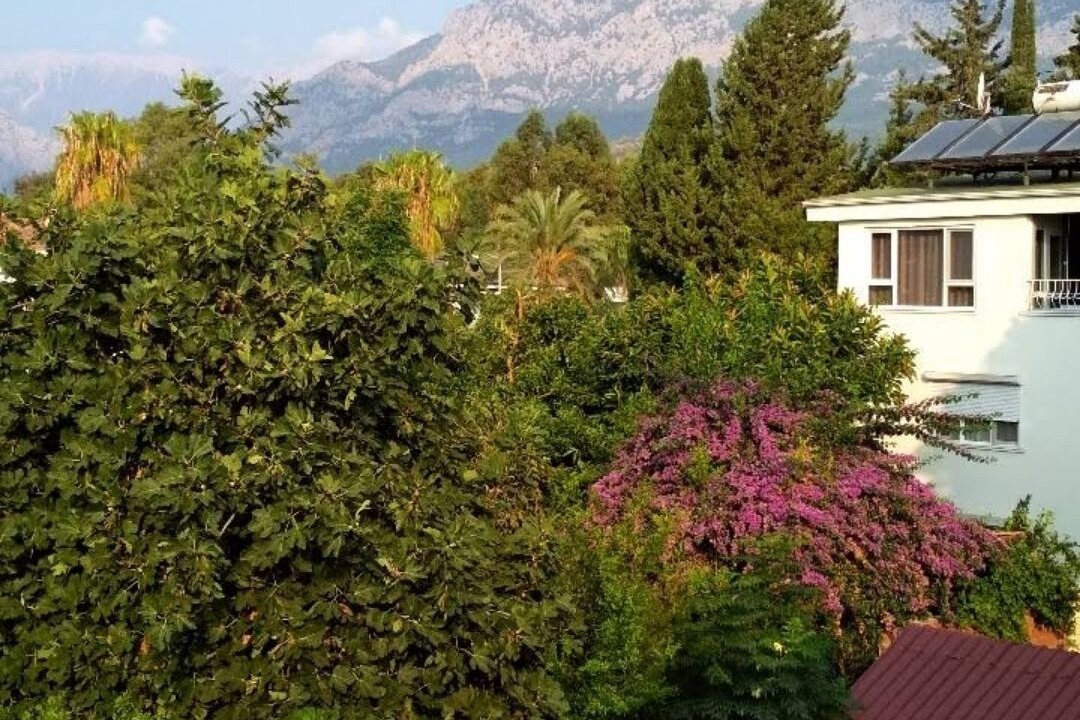 Photo of Outdoor in Kemer