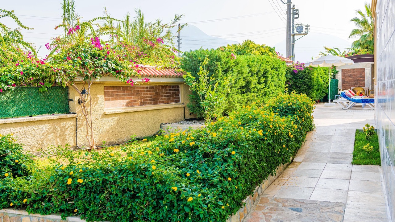 Photo of Outdoor in Fethiye City Center